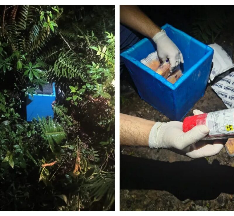 Suspeito de roubo de furgão com material radioativo é preso em SP